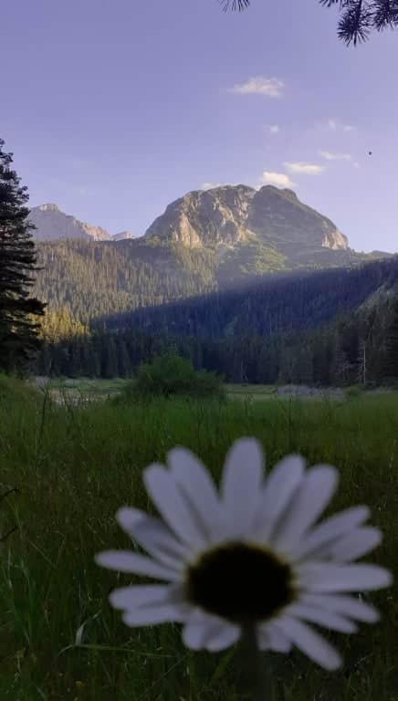 Rooms Apartment Durmitor Žabljak Екстериор снимка