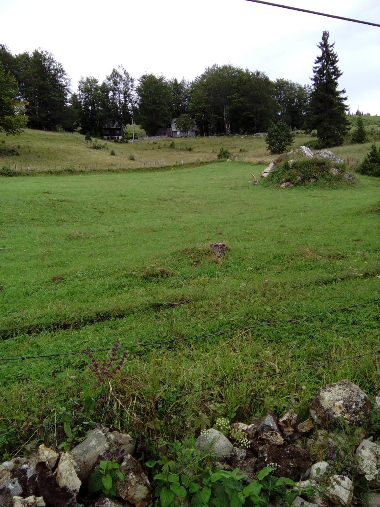 Rooms Apartment Durmitor Žabljak Екстериор снимка