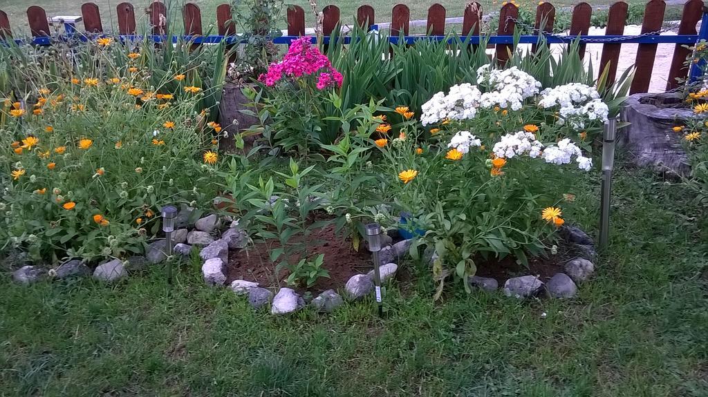 Rooms Apartment Durmitor Žabljak Екстериор снимка