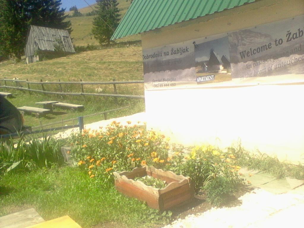 Rooms Apartment Durmitor Žabljak Екстериор снимка