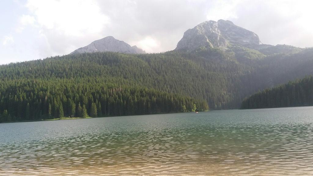 Rooms Apartment Durmitor Žabljak Екстериор снимка