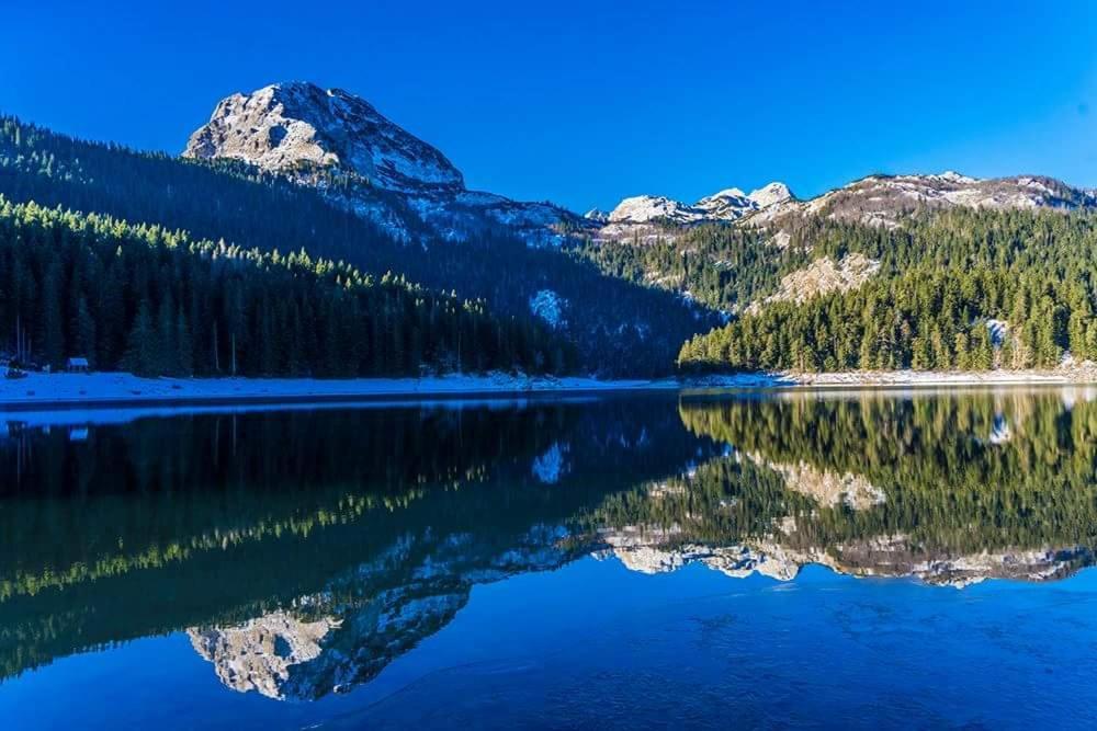 Rooms Apartment Durmitor Žabljak Екстериор снимка