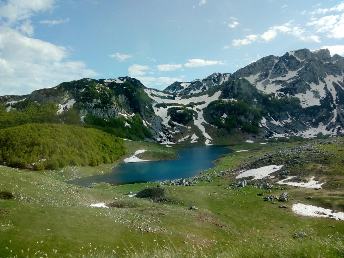 Rooms Apartment Durmitor Žabljak Екстериор снимка